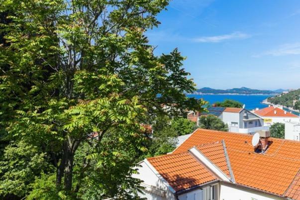 Niki Apartment Dubrovnik Exterior foto